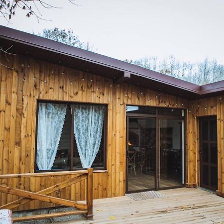 Dacha Guest House Uzhhorod Luaran gambar